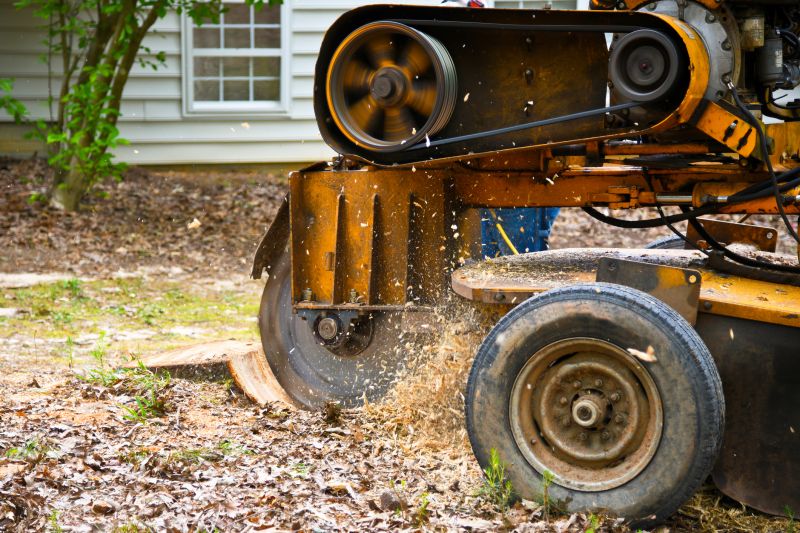 Stump Grinding in Action