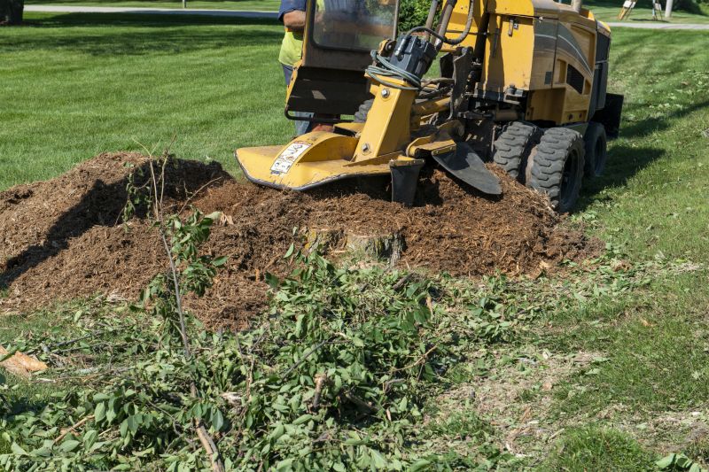 Stump Grinding Equipment in Action
