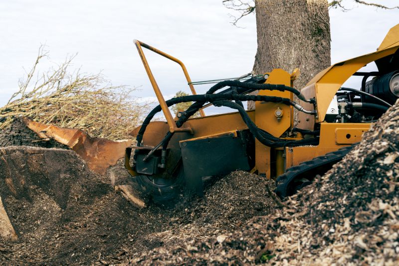 Stump Grinding Service