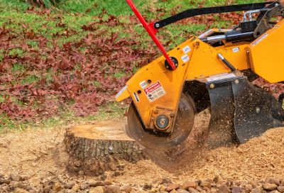 Stump Grinding Service in Prince Georges County, MD