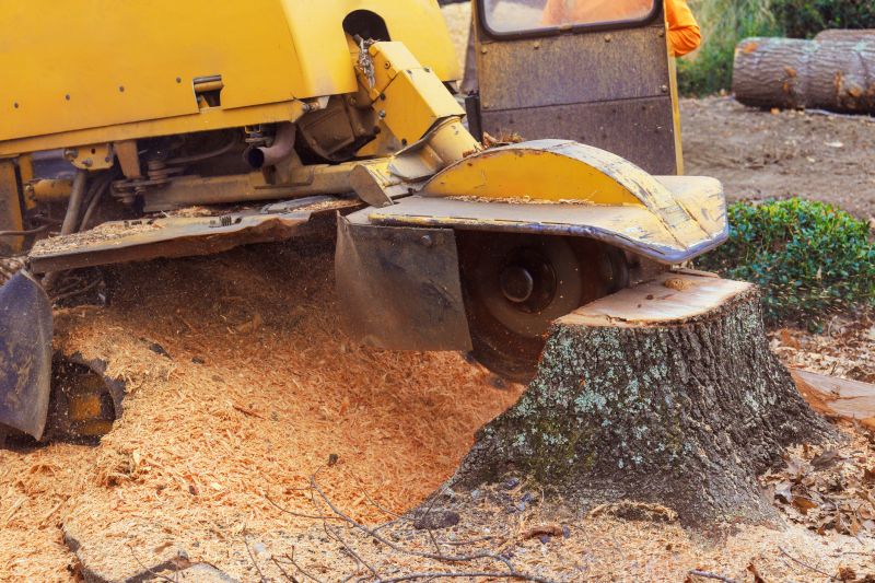 Stump Grinding Service in Prince Georges County, MD