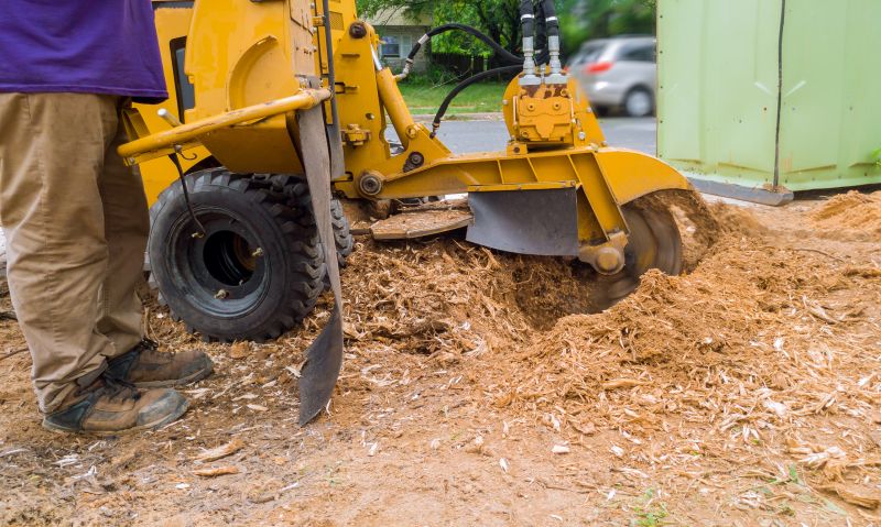 Commercial Stump Grinding in Prince Georges County, MD