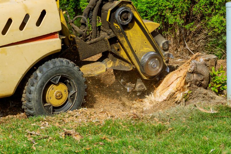 Stump Removal Service
