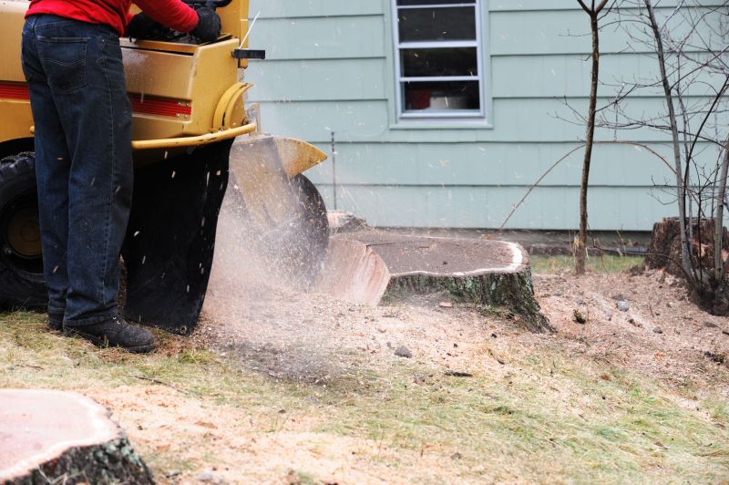 Contact About Stump Grinding Service