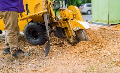 Local Stump Grinding Service pros at work