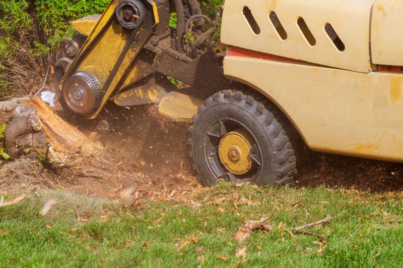 Tree Root Grinding in Prince Georges County, MD