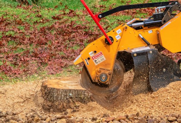 Shrub Stump Grinding