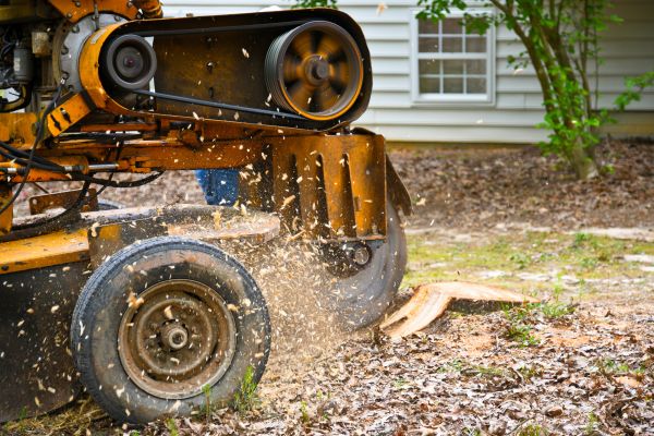 Grow your Stump Grinding Service business